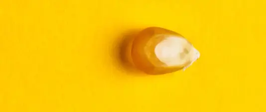 Kernel